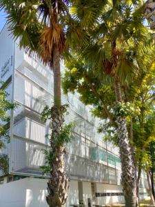 曼谷大学中英泰三语本科选专业流程