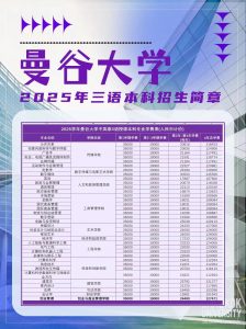 高考直通车2025曼谷大学三语本科招生简章